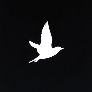 @temnyi_vpn