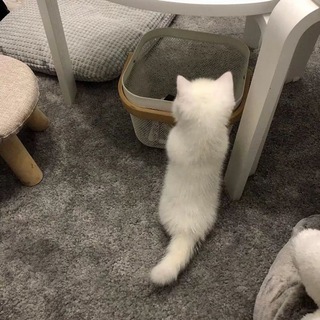 @TENG0624
