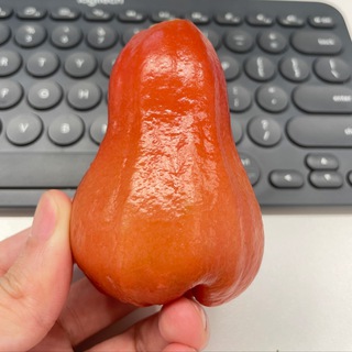 @test6496