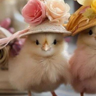 @Tha838995