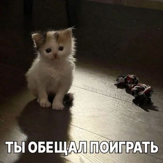 @the_funny_one_exe