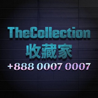 TheCollection 收藏家