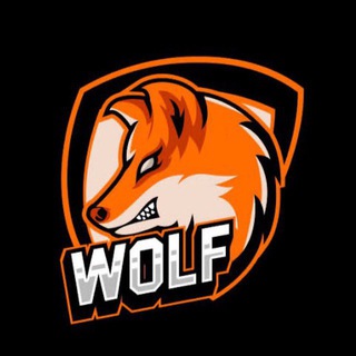 @TheCryptoWolf