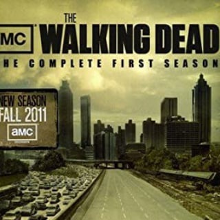The Walking Dead Series