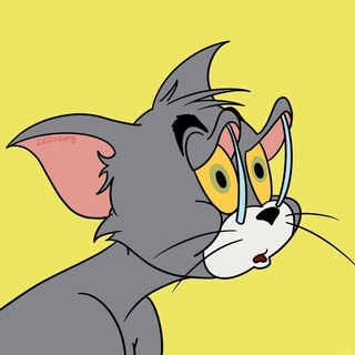 @TheYasirXD