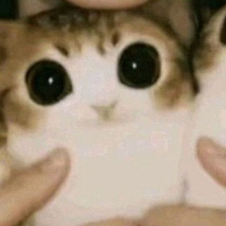 @thistle_on_the_side
