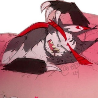 @tiramisu_dog27