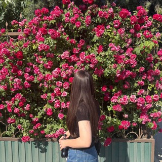@Tivka_pon