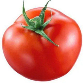 @TomatoPng