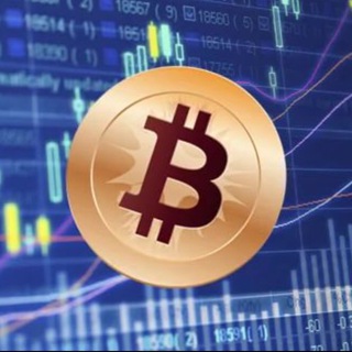 @top100wallet
