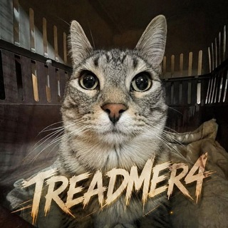 @tredamer4
