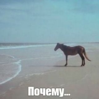 @trezst3