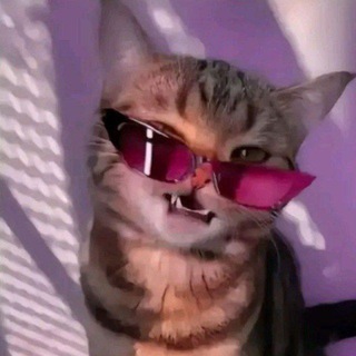 @trshtr