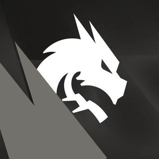 @TSpiritChess