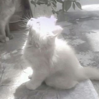 @ucswwqpju8a7ukne37sepptclmypcdwe