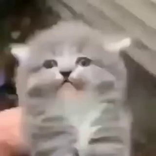 @us3r_n4me
