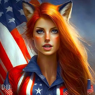 @usafox