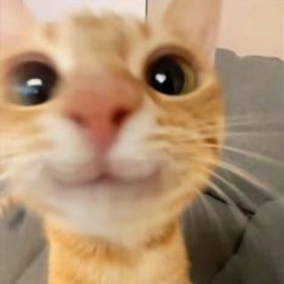 @usbrooo