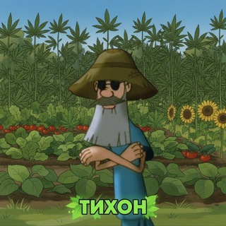 @user_tixon