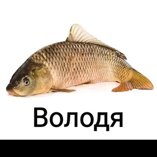 @V0van1k