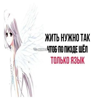 @vako_back