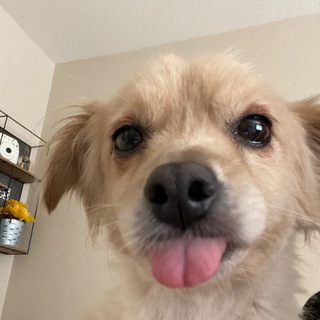 @valentine303