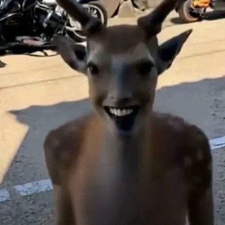@VALERST
