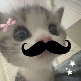 @Var4ik_67