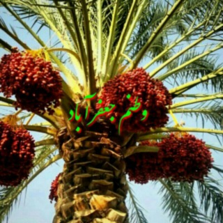 وطنم جعفرآباد
