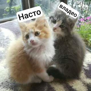 @velsi352