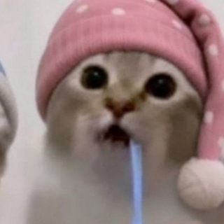 @verba_9h