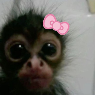 @Vero_chka28