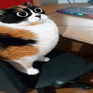 @Vertyqwert