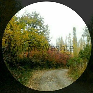 Veshte.ir🌳 کانال وشته