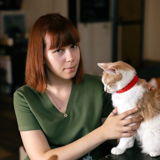 @vetprofessional