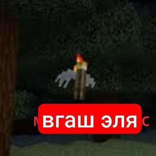 @vgash