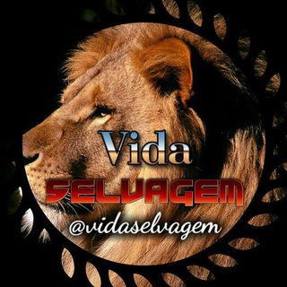 @vidaselvagem