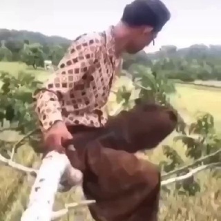 @videomemes333