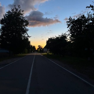 @vin_dmi