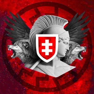 @visegradtv