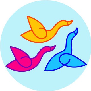 @vmeste_istanbul