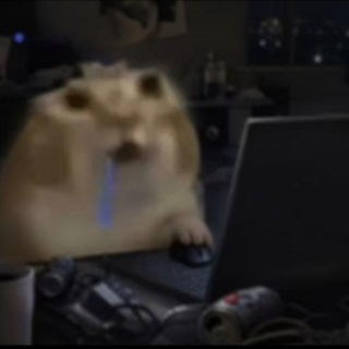 @VOID_fella