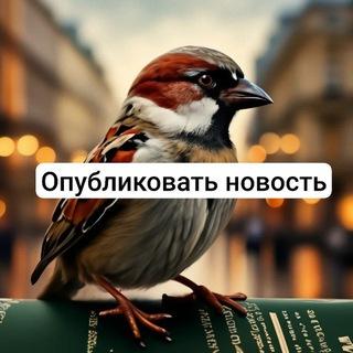 vorobushki_spb_bot