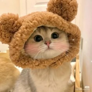 @vpn_thetop_support