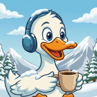 @vpnducks_support