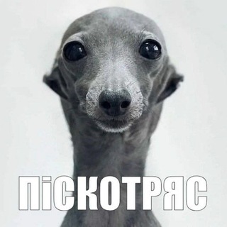 @vr1pr4kkkq