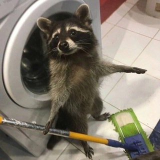 Виталий Талманов