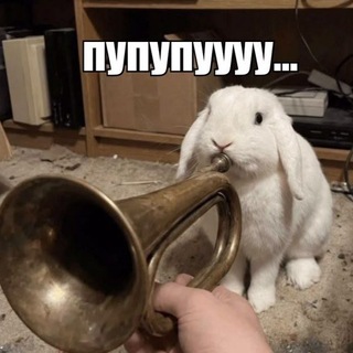 @w1kdn