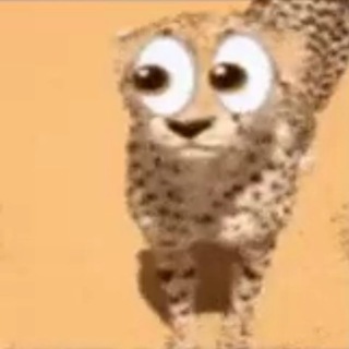 @WallaiZ_D