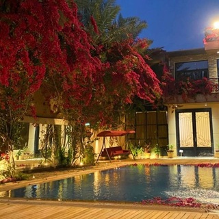 @Wasabbas